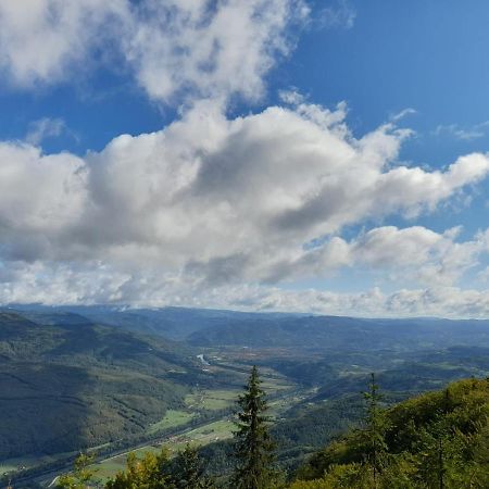 Tisina Tare Vila Bajina Basta Exterior foto