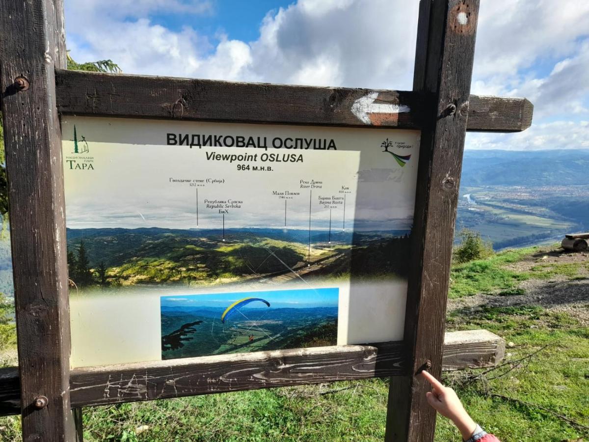 Tisina Tare Vila Bajina Basta Exterior foto